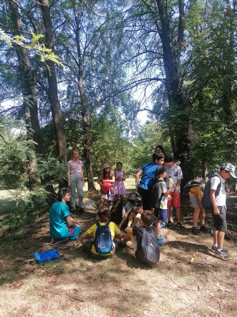 Tabăra urbană – Cum simțim mediul natural