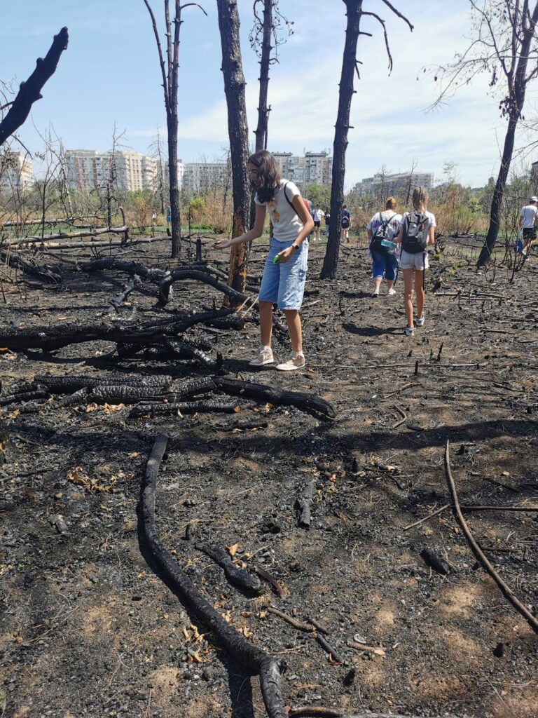 Tabăra urbană – Cum simțim mediul natural
